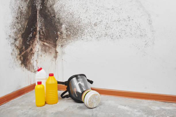 Crawl Space Mold Removal in Clarksdale, MS