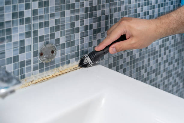 Best Mold Removal Near Me  in Clarksdale, MS